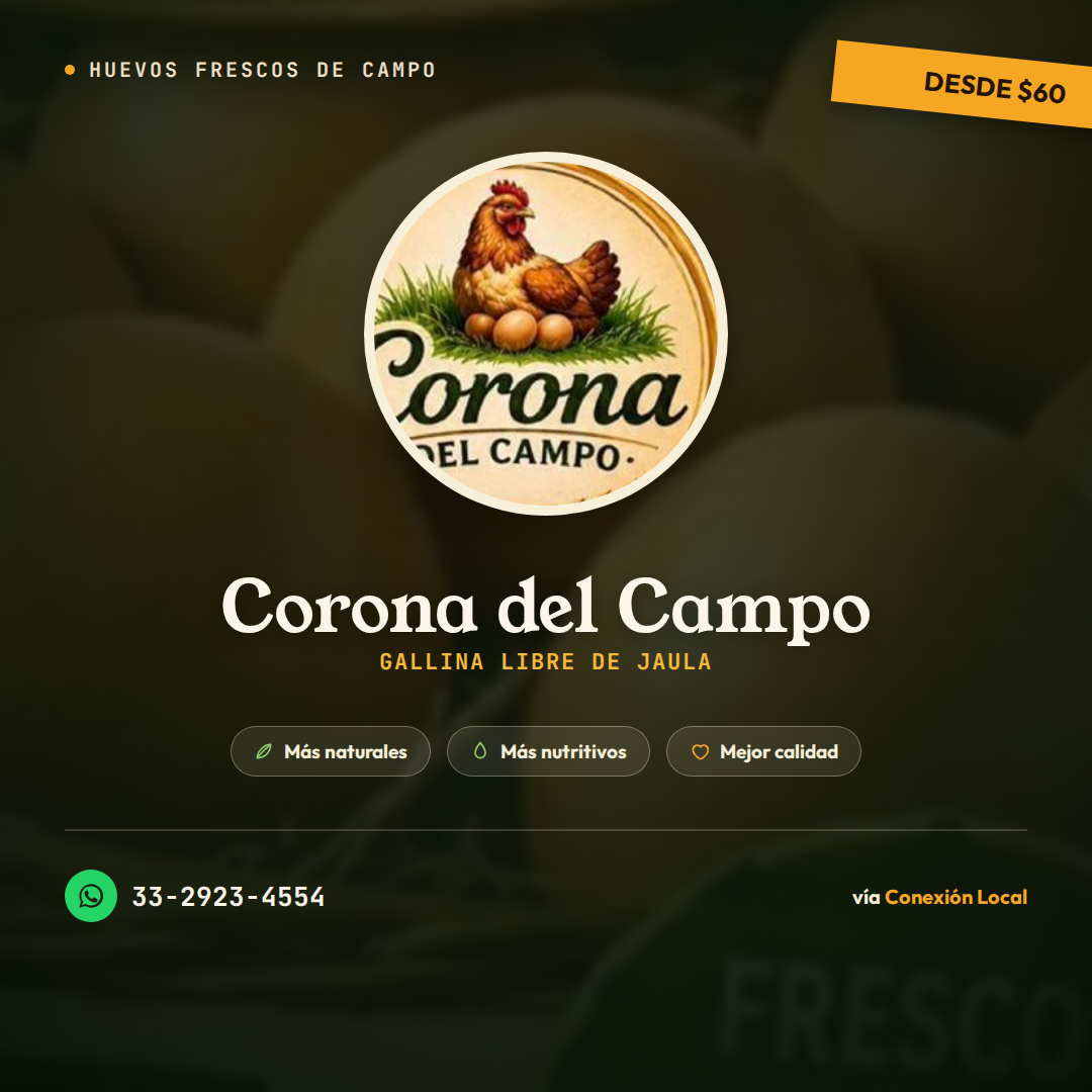 Huevos Frescos de Gallina Libre de Jaula – Corona del Campo